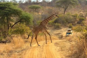 Jinja Adventure Experience (3 Days)
